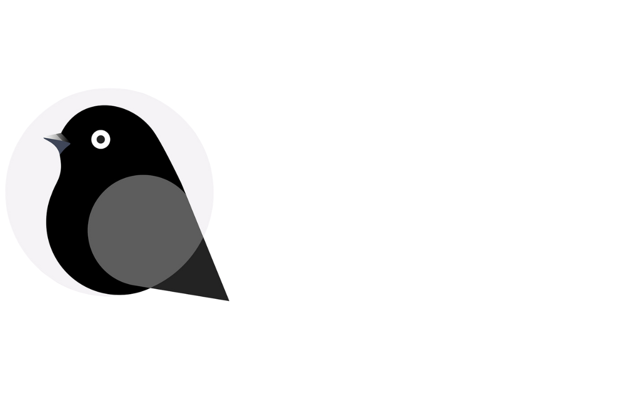 Imóveis Bird - Encontre seu imóveis aqui